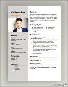The Best Aesthetic Resume Examples