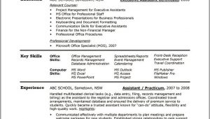 Entry Level Financial Assistant Resume Sample